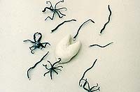 Sculptures and Installations by Samantha Sand-Holmes